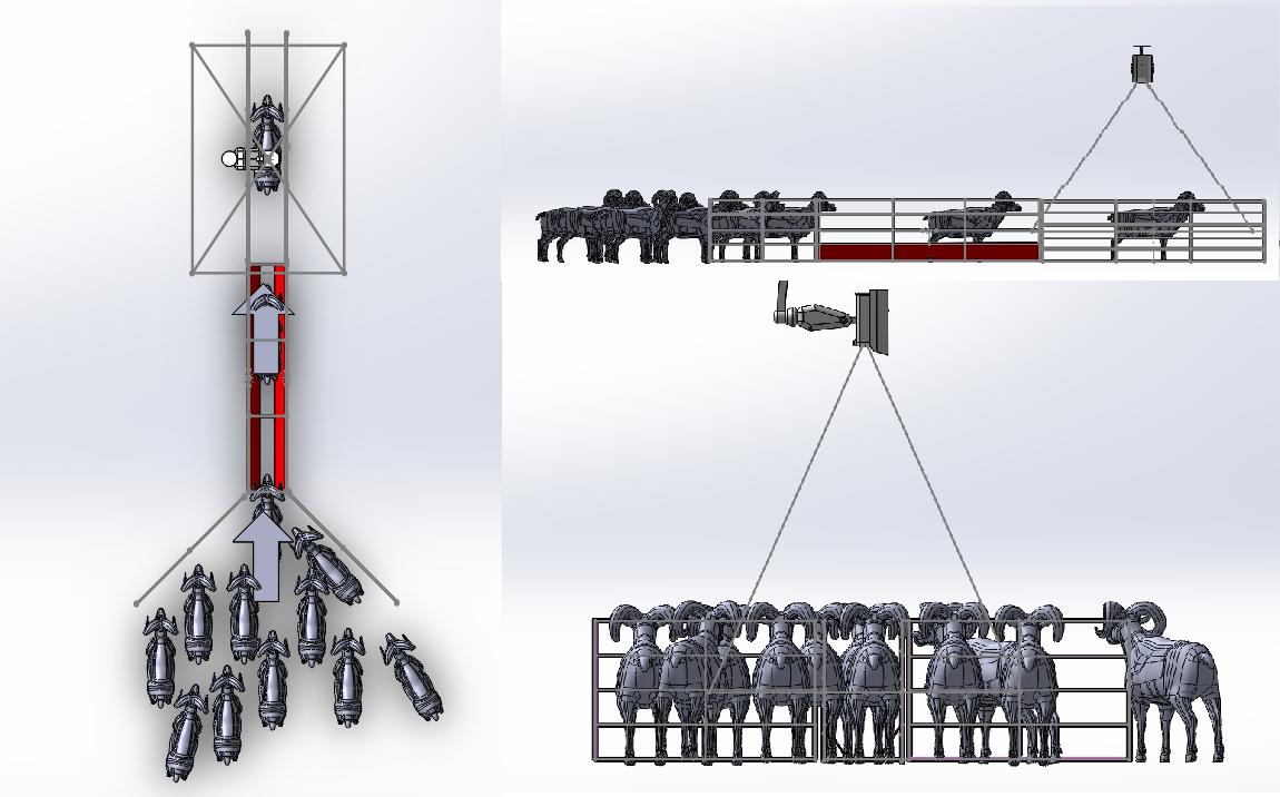 Hayalet Baskül Terazi